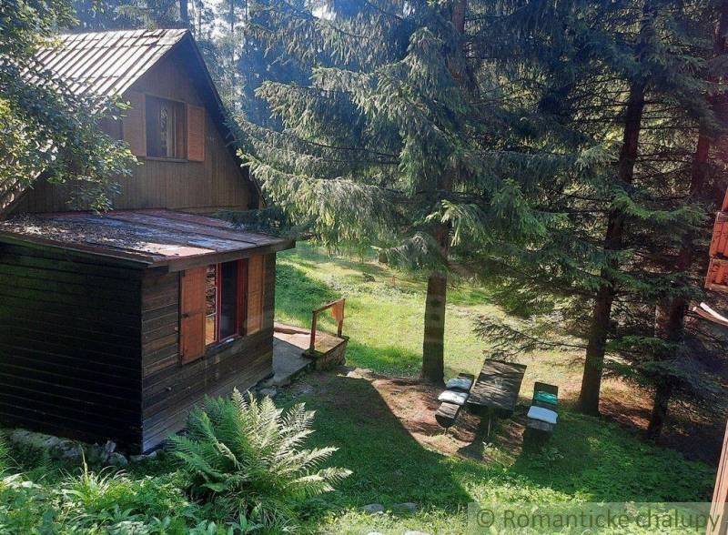 A cottage surrounded by forest, with coniferous trees and a wooden table in a natural setting.