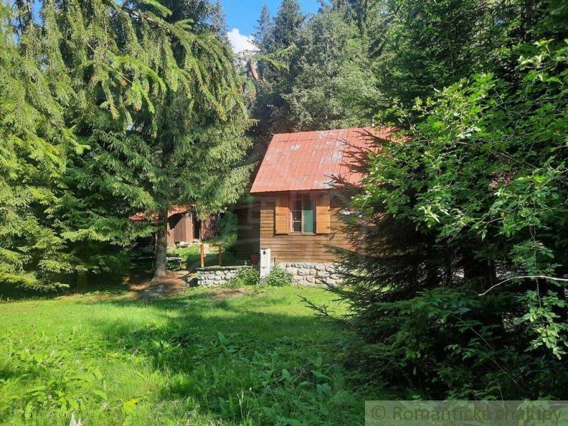 A wooden cabin surrounded by forest trees, ideal for a romantic getaway in nature.