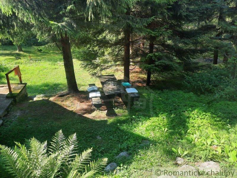 A cottage surrounded by nature, a picnic table in the shade of trees, green grass, relaxation.