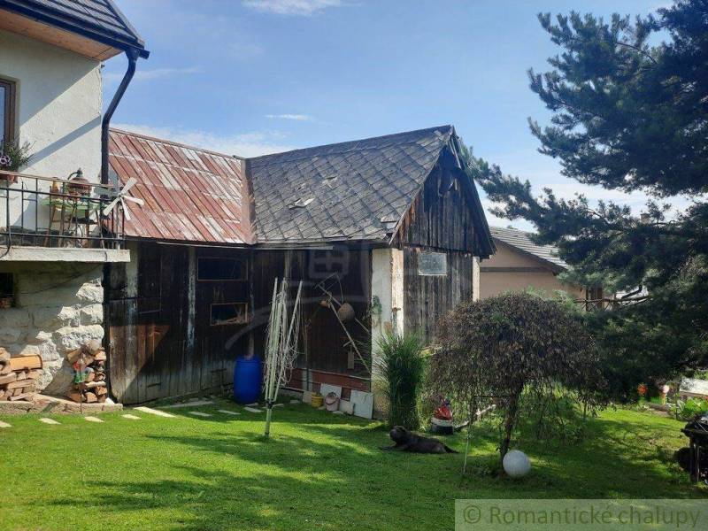 A family house with a garden, a wooden building, a tree, and a dog on the lawn.