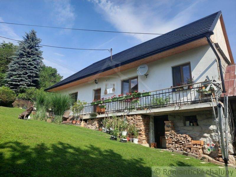 Family house with traditional design, wood in stock, garden, dog, clear sky.