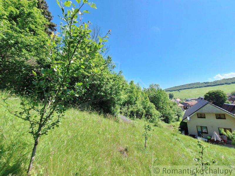 A sloping plot with grass, trees, and a family house with a view of the village and nature.