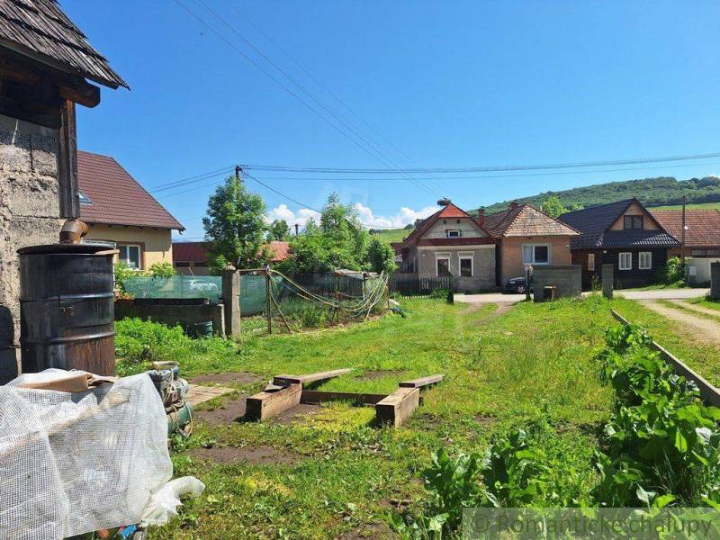 In the picture, there is a rural village, family houses, a garden, a clear sky, and greenery of the landscape.