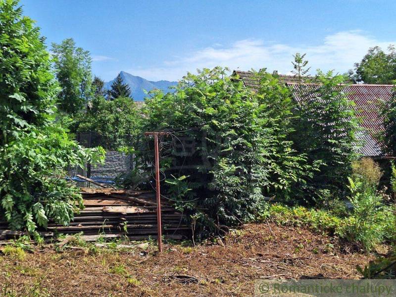 A garden with a pile of wood, hills in the background, and a family house behind the trees.