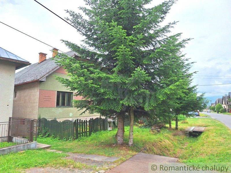 A house next to the road with a fir tree, a family house, a small garden, a village environment.