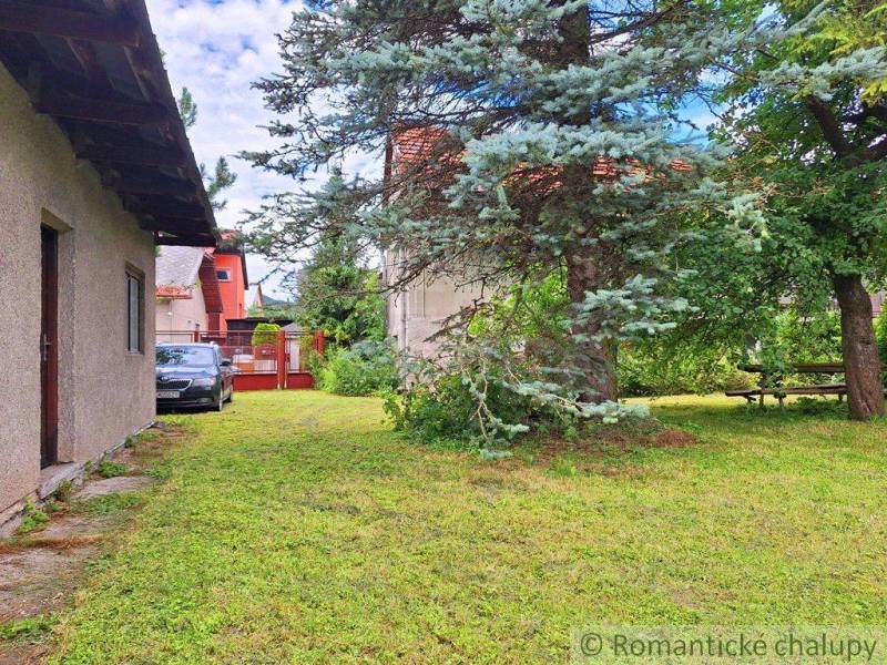 A garden with a lawn, trees, and a parked car, ideal for family living.