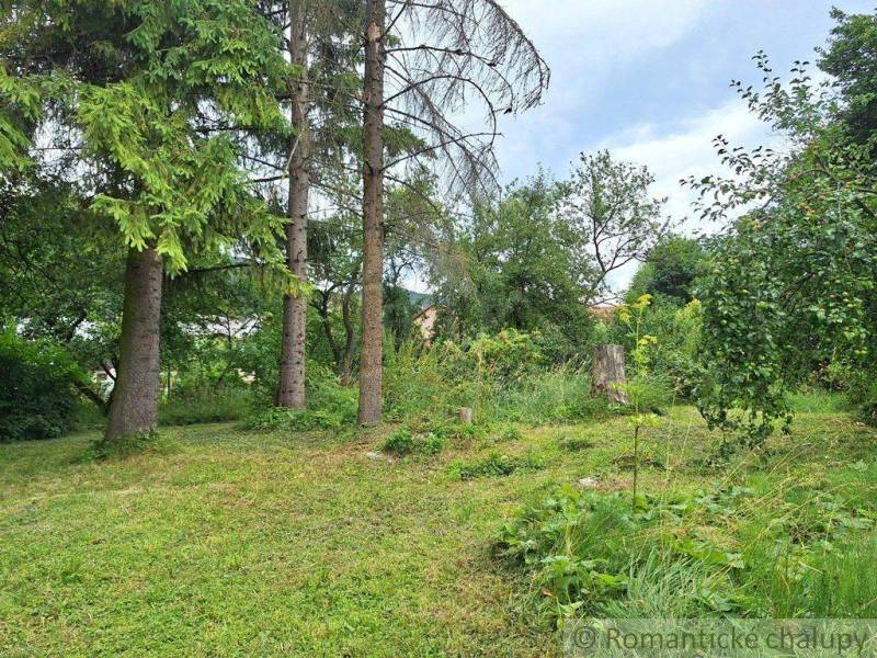 Greenery with tall trees, a meadow, and plots of land for peaceful living and overall relaxation.
