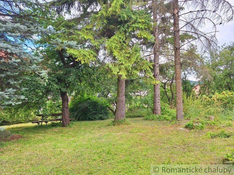 Peaceful lands: an idyllic space for living with natural trees and a bench.