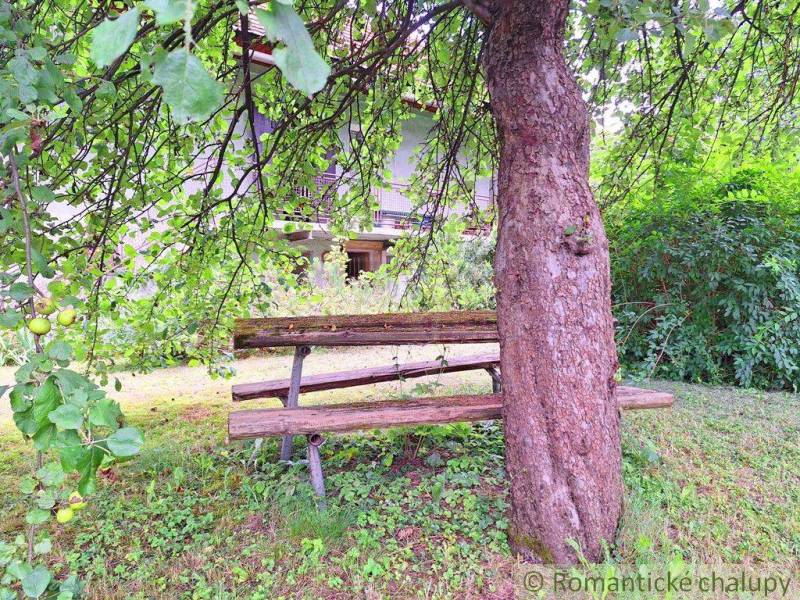 A wooden bench under a tree in the garden provides rest and connection with nature.