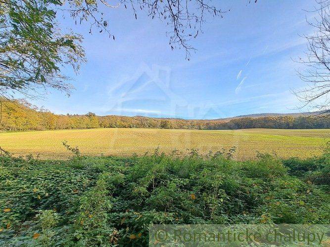 Greenery and clearing, ideal for recreational plots, offer peace and nature.