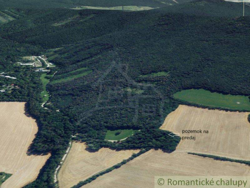 Meadows and recreational plots near the forest, suitable for cottages and recreation.