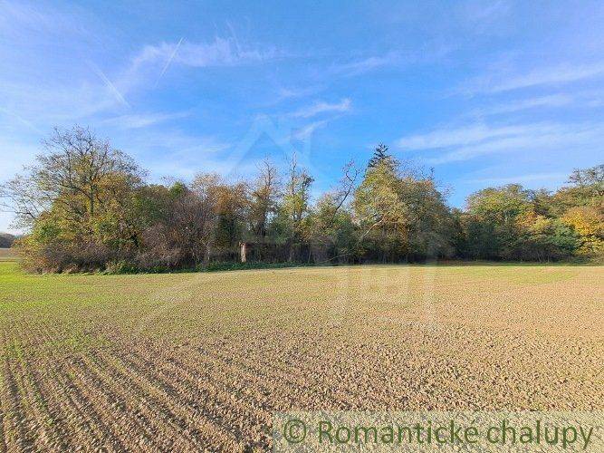 An open meadow surrounded by trees, ideal for recreational properties in nature.