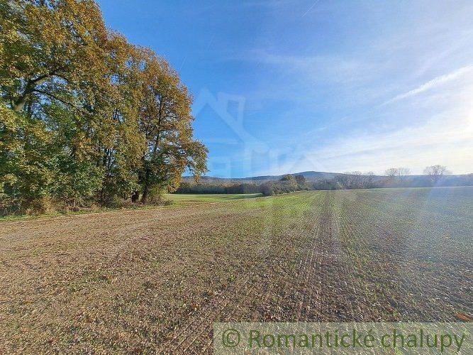In the picture, there are green recreational plots with views of hills and trees.