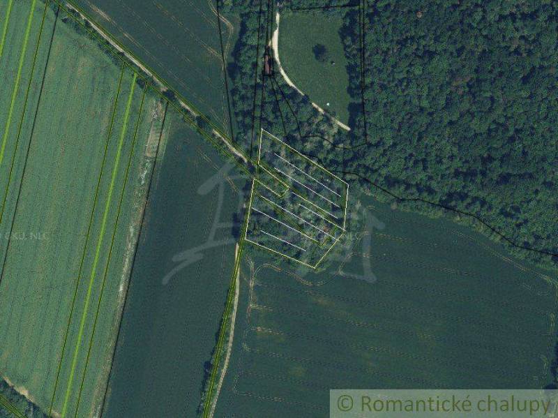 Aerial view of recreational plots surrounded by forest and fields.