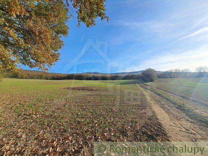 The picture shows a picturesque landscape, recreational plots lined with trees and a blue sky.