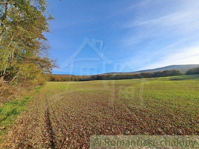 Extensive green meadows surrounded by forests and mountains, ideal for recreational properties.