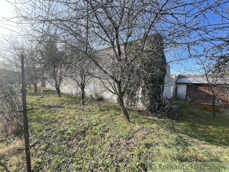 The garden surrounds an older family house, without leaves, with trees and a fence.