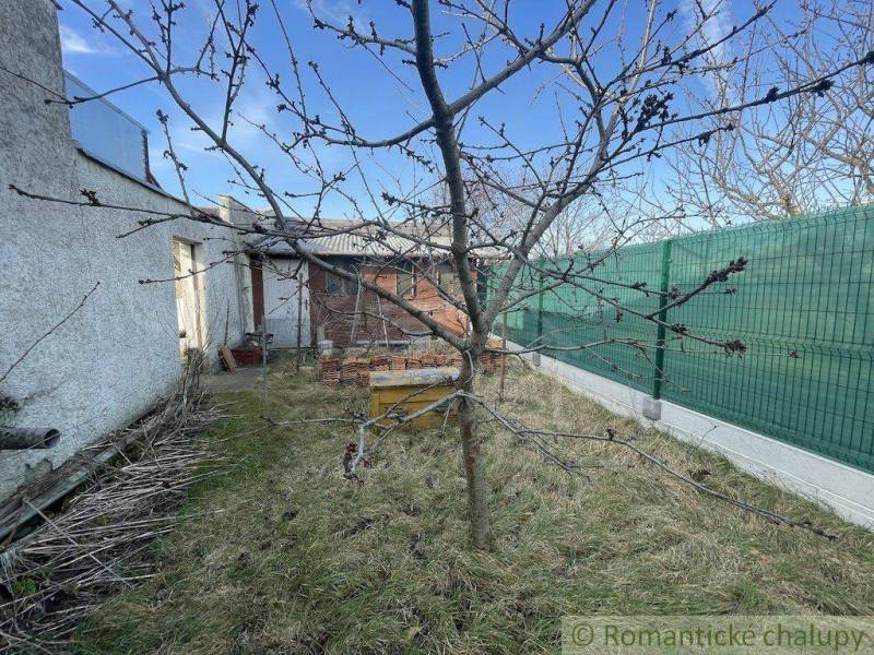 The garden contains a fruit tree, a grassy area, and a fence by the family house.