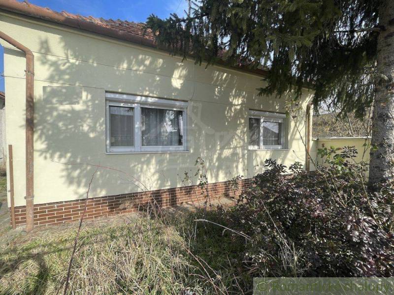 A family house with windows, grass, and a tree offers a pleasant living space.