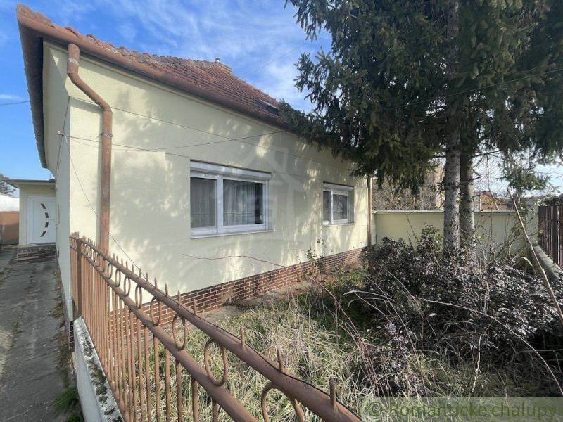 A family house with a brown roof is surrounded by tree branches and an iron fence.