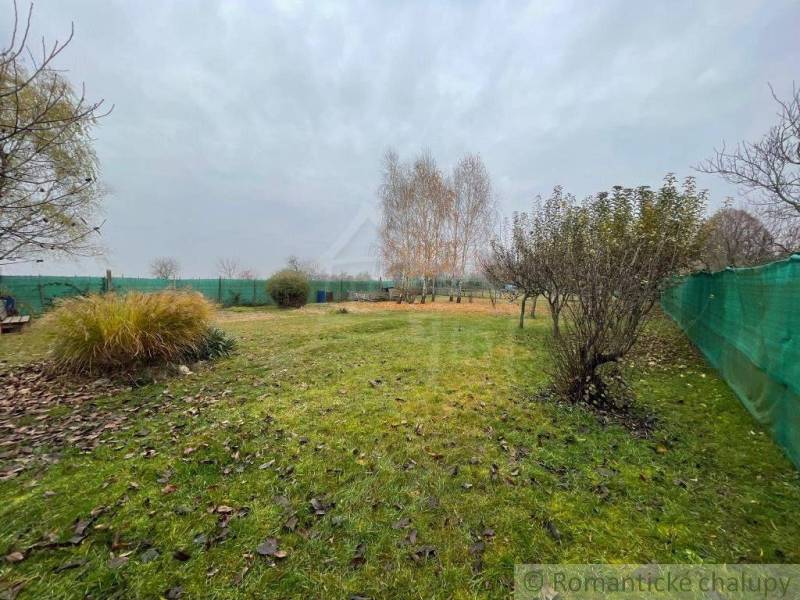 A lawn with deciduous trees, ideal for relaxation gardens and recreational activities.