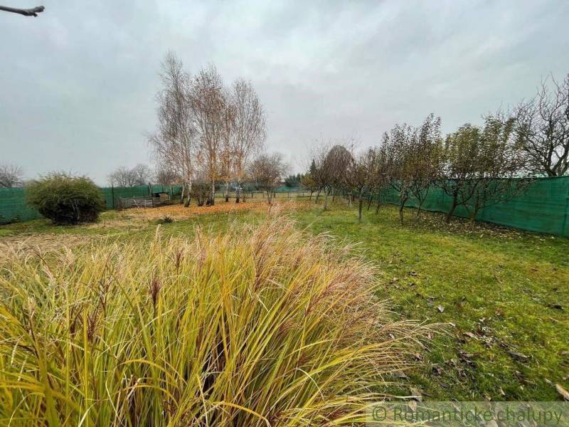 A garden with grass, trees, and a fence offers a peaceful space for relaxation.
