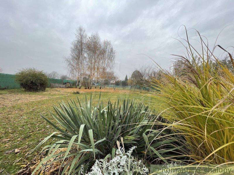 A garden full of grass and trees, the sky is gray and gloomy.