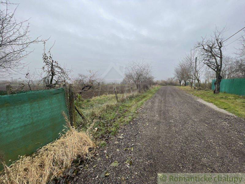 A country road lined with trees alongside green fences and gardens. The weather is overcast.