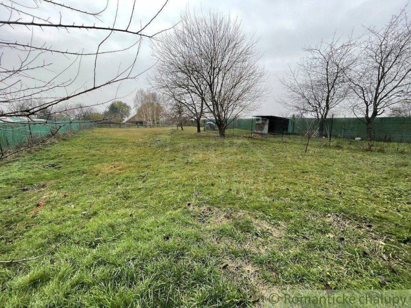 A large garden with scattered trees and a cottage, surrounded by a fence.