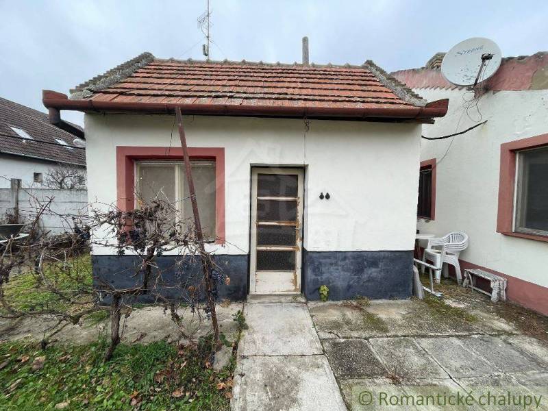 A small family house, a garden with vines, next to the house are plastic chairs and a satellite.