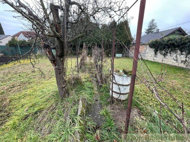 A garden with a lawn and a tree near a family house, ideal for nature and relaxation.
