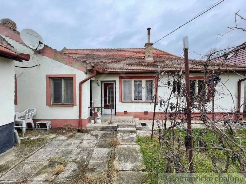 A family house with a traditional roof, terrace, satellite, and a garden with vines.