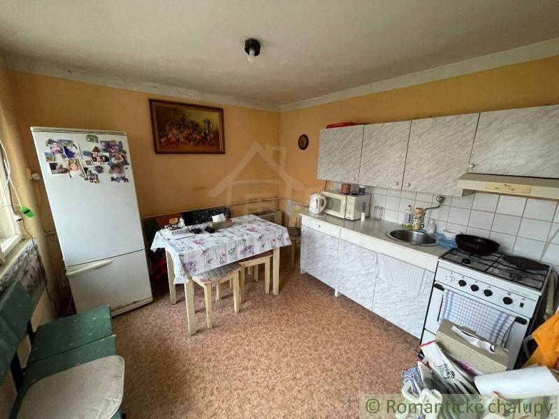 Kitchen of a family house with a kitchen unit, table, refrigerator, and decorative painting.