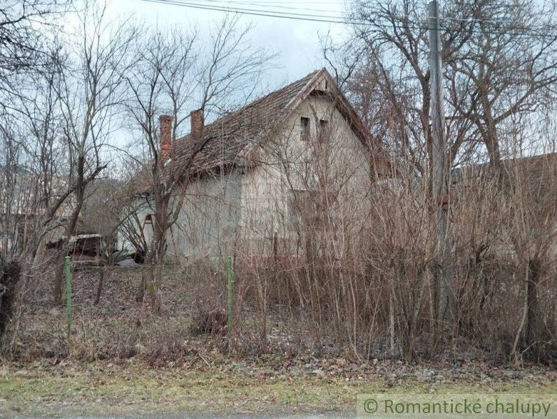 An old family house surrounded by bushes and trees, with occasional branches overhanging the fence.