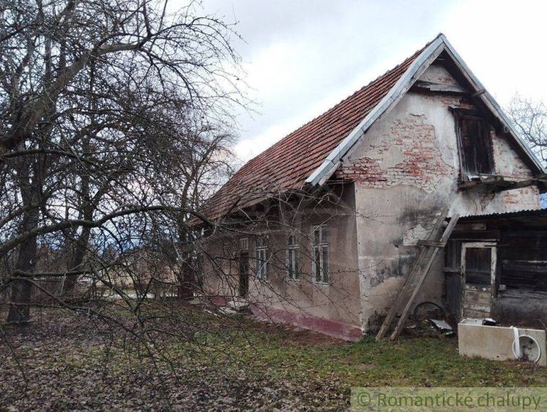 An old family house with peeling facade and surrounding trees in a winter setting.