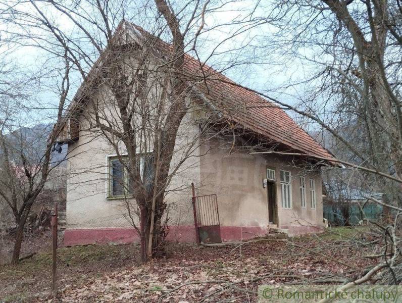 A family house with a red roof surrounded by trees, in winter.