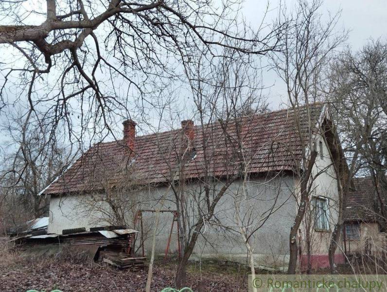 An old family house, surrounded by trees with a winter appearance.