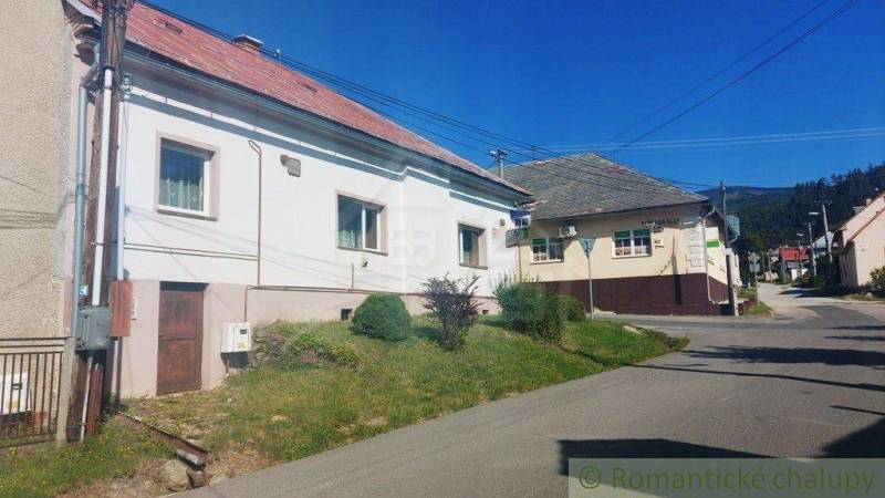 A family house by the road with a lawn and bushes in a peaceful village.