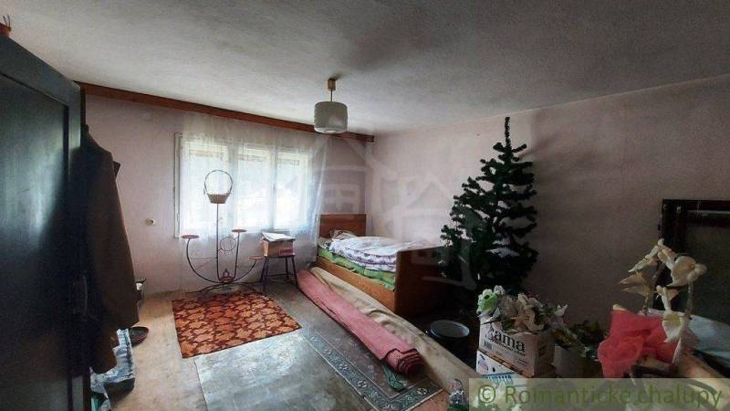 Room with a bed, artificial tree, and antique furnishings in a family house.