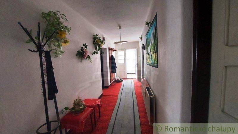 A narrow hallway in a family house with carpets, paintings, and coat racks.