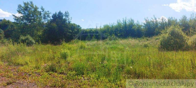 A grassy area surrounded by trees, ideal for residential plots.