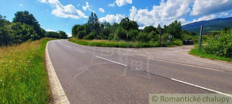 A winding road, surrounded by greenery, leads to recreational grounds with lush nature.