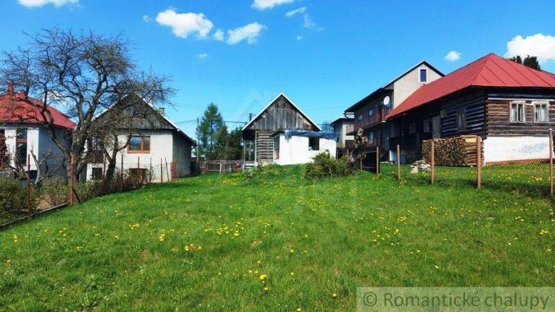 Country houses and unique properties are surrounded by a blooming meadow under a blue sky.