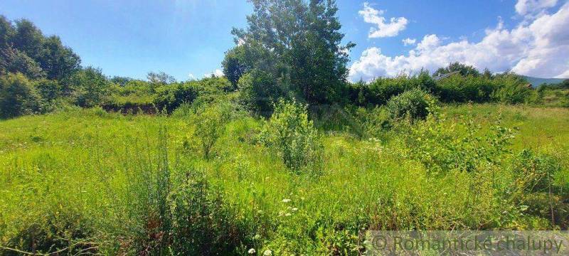 Greenery on a plot with a view of living, surrounded by nature and blue sky.