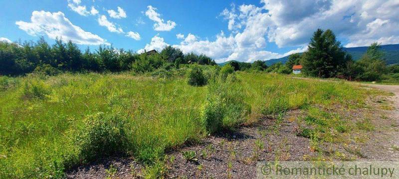 A wide meadow with plots, ideal for living, bordered by green trees and a blue sky.