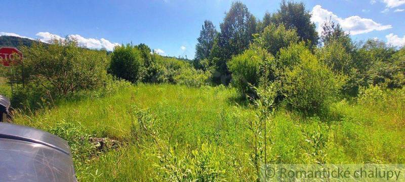 Greenery and land: a meadow in the countryside, ideal for living, sunny day.