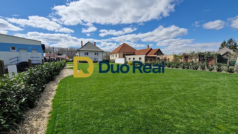 The garden of a family house in the town of Sap surrounded by houses and a blue sky.