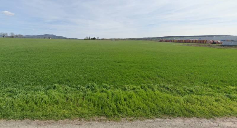 Green meadow in Nitra, suitable for commercial land, with a forest in the background.
