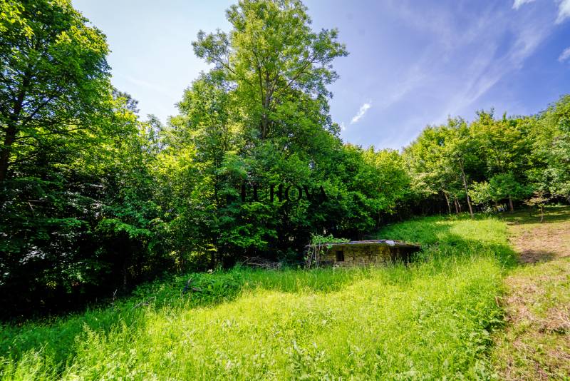 A still life at the Recreational Grounds in Zbor near Dohňany, surrounded by green trees and meadows.