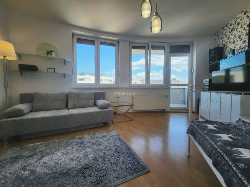 Living room with a sofa, carpet, and large windows in a studio apartment.